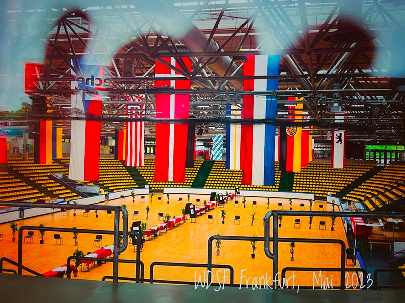 Piste de hockey transformée en parquet de danse lors du WDSF OPEN FRANKFURT 2023, compétition internationale de danse sportive à Francfort, Allemagne.