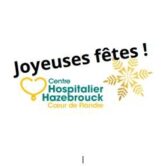 Logo Centre Hospitalier Hazebrouck - EHPAD Le Clos des Tilleuls